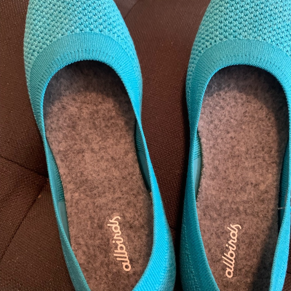 NEW Women's ALLBIRDS Tree Breezers Caribbean Teal Ballet Flats Shoes